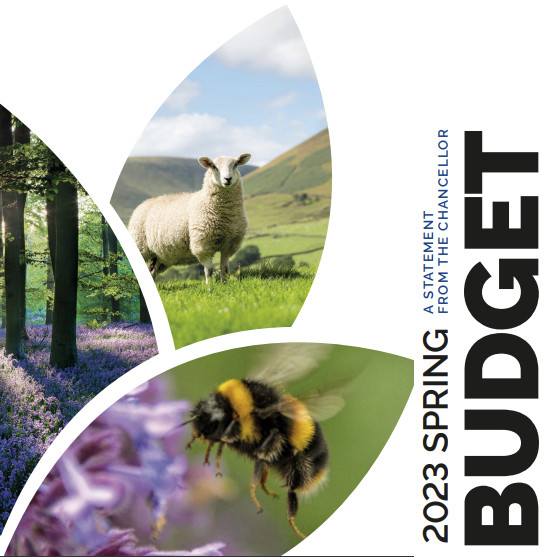 Spring Budget 2023