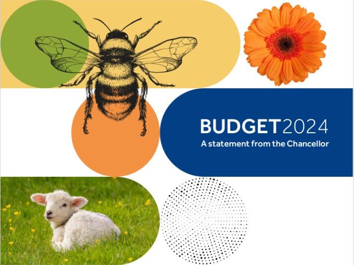 Spring Budget 2024