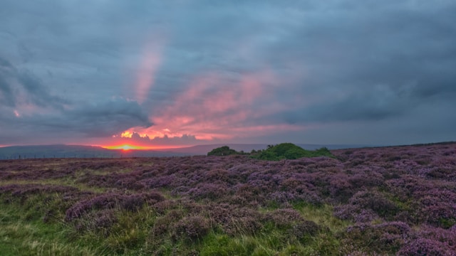 View from the North York Moors towards Whitby