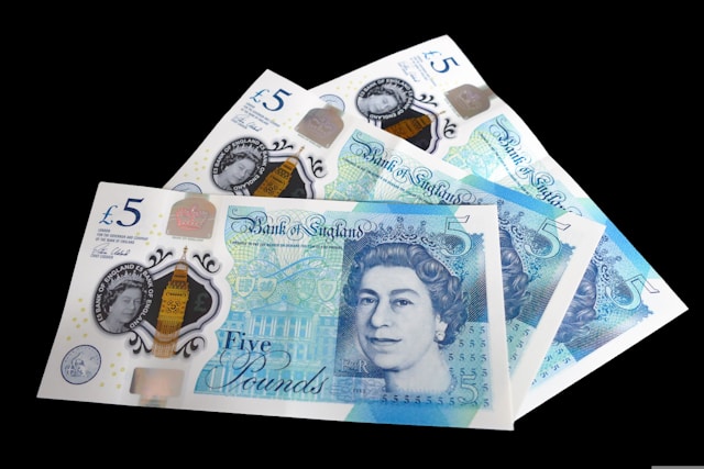 £5 notes