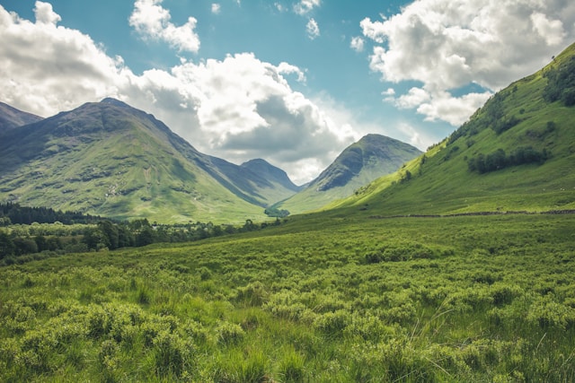 grass covered mountain