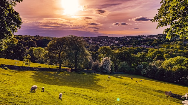 A view up the Porter Valley, towards Sunset. Sheffield, UK