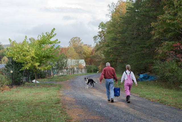 Man and woman walking with dog